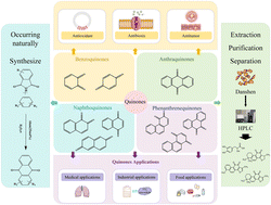 Graphical abstract: Recent research on the physicochemical properties and biological activities of quinones and their practical applications: a comprehensive review