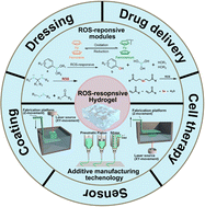 Graphical abstract: ROS-responsive hydrogels: from design and additive manufacturing to biomedical applications