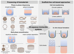 Graphical abstract: Exploring the potential of all-aqueous immiscible systems for preparing complex biomaterials and cellular constructs