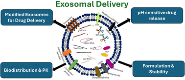 Graphical abstract: A comprehensive review of challenges and advances in exosome-based drug delivery systems