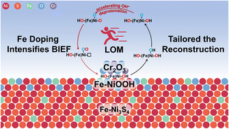Graphical abstract: Fe doping intensifies the built-in electric field for tailoring the reconstruction of sulfides towards efficient oxygen evolution