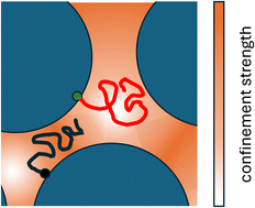 Graphical abstract: Unravelling chain confinement and dynamics of weakly entangled polymers in one component nanocomposites