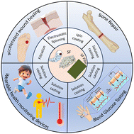 Graphical abstract: Application of silk fibroin-based composite films in biomedicine and biotechnology