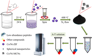 Graphical abstract: Magnetic mesoporous carbon nanocomposites derived from bimetallic metal–organic frameworks for enrichment of low-abundance peptides
