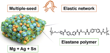 Graphical abstract: High-performance anode-less all-solid-state batteries enabled by multisite nucleation and an elastic network