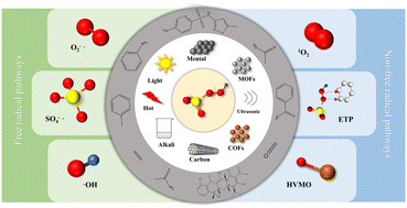 Graphical abstract: The activation mechanisms of permonosulfate and pollutant degradation pathways by generated reactive species