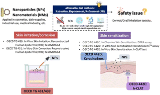 Graphical abstract: Predicting skin irritation, corrosion, and sensitization potential of nanomaterials using OECD-validated new approach methodologies (NAMs)