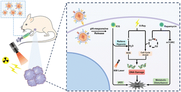 Graphical abstract: A ZIF-8-based dual-modal smart responsive nanoplatform for overcoming radiotherapy resistance in advanced tumors
