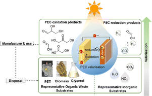 Graphical abstract: Photoelectrochemical valorisation of organic waste for the cogeneration of solar fuels and value-added chemicals