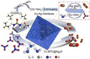 Graphical abstract: Ag2O-loaded Cu based metal–organic framework material as pre-electrocatalyst for efficient urea synthesis