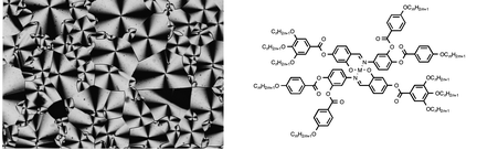 Graphical abstract: Metallomesogens by ligand design