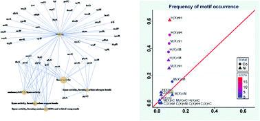 Graphical abstract: Putative cobalt- and nickel-binding proteins and motifs in Streptococcus pneumoniae