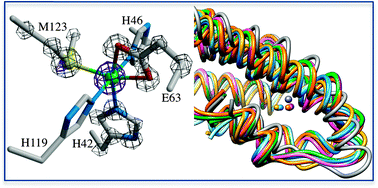 Graphical abstract: Response of CnrX from Cupriavidus metallidurans CH34 to nickel binding