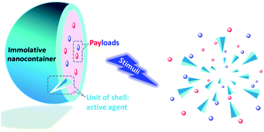 Graphical abstract: Redefining the functions of nanocapsule materials