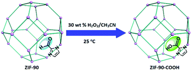 Graphical abstract: Imparting Brønsted acidity into a zeolitic imidazole framework