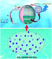 Graphical abstract: Enhanced visible-light-driven photocatalysis from WS2 quantum dots coupled to BiOCl nanosheets: synergistic effect and mechanism insight