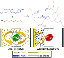 Graphical abstract: Oligoanilines as a suppressor of polysulfide shuttling in lithium–sulfur batteries