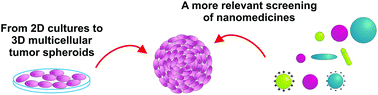 Graphical abstract: Multicellular tumor spheroids: a relevant 3D model for the in vitro preclinical investigation of polymer nanomedicines