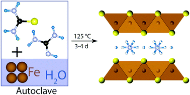 Graphical abstract: Proton and ammonia intercalation into layered iron chalcogenides