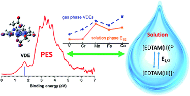 Graphical abstract: Electrospray ionization photoelectron spectroscopy of cryogenic [EDTA·M(ii)]2− complexes (M = Ca, V–Zn): electronic structures and intrinsic redox properties