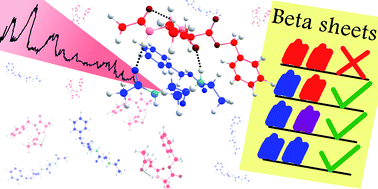 Graphical abstract: Interactions of aggregating peptides probed by IR-UV action spectroscopy