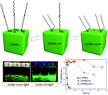 Graphical abstract: Critical role of metal ions in surface engineering toward brightly luminescent and stable cesium lead bromide perovskite quantum dots