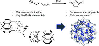 Graphical abstract: Self-assembled M12L24 nanospheres as a reaction vessel to facilitate a dinuclear Cu(i) catalyzed cyclization reaction