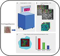 Graphical abstract: Recent advances in the use of stimulated Raman scattering in histopathology