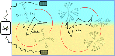 Graphical abstract: Electroanalytical study of five carbosilane dendrimers at the interface between two immiscible electrolyte solutions