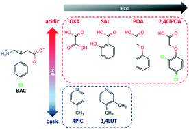 Graphical abstract: Multicomponent crystals of baclofen with acids and bases—conformational flexibility and synthon versatility