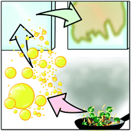 Graphical abstract: Glass surface evolution following gas adsorption and particle deposition from indoor cooking events as probed by microspectroscopic analysis