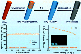 Graphical abstract: Phosphorus-doping-induced kinetics modulation for nitrogen-doped carbon mesoporous nanotubes as superior alkali metal anode beyond lithium for high-energy potassium-ion hybrid capacitors