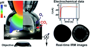 Graphical abstract: Hybrid scanning electrochemical cell microscopy-interference reflection microscopy (SECCM-IRM): tracking phase formation on surfaces in small volumes