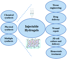 Graphical abstract: Preparation and biomedical application of injectable hydrogels