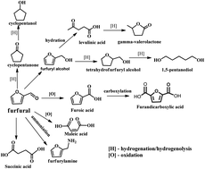 Graphical abstract: Recent advances in the conversion of furfural into bio-chemicals through chemo- and bio-catalysis