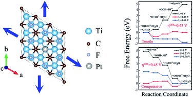 Graphical abstract: Strain engineering in the oxygen reduction reaction and oxygen evolution reaction catalyzed by Pt-doped Ti2CF2