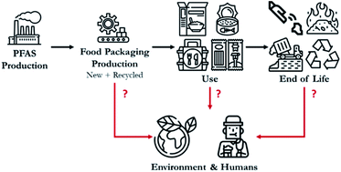 Graphical abstract: Use and release of per- and polyfluoroalkyl substances (PFASs) in consumer food packaging in U.S. and Canada