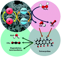 Graphical abstract: Magnetite–reduced graphene oxide nanocomposite as an efficient heterogeneous Fenton catalyst for the degradation of tetracycline antibiotics