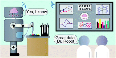 Graphical abstract: Concluding remarks: next generation nanoelectrochemistry – next generation nanoelectrochemists