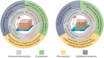 Graphical abstract: Interface-related phenomena in epitaxial complex oxide ferroics across different thin film platforms: opportunities and challenges