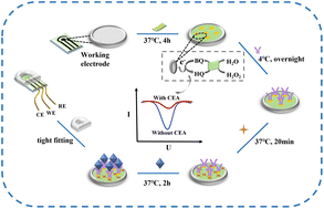 Graphical abstract: A bimetallic metal–organic framework with high enzyme-mimicking activity for an integrated electrochemical immunoassay of carcinoembryonic antigen