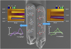 Graphical abstract: Simultaneous detection of neurotransmitters and Cu2+ using double-bore carbon fiber microelectrodes via fast-scan cyclic voltammetry