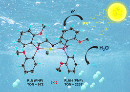 Graphical abstract: Light-driven hydrogen evolution via a novel pincer/no pincer mechanism including a possible concerted proton electron transfer