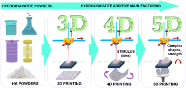 Graphical abstract: A review on hydroxyapatite fabrication: from powders to additive manufactured scaffolds