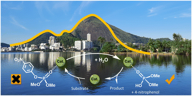 Graphical abstract: Catalytic strategies for detoxifying phosphorus(v) biocides