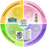 Graphical abstract: Aromatic foldamer-derived transmembrane transporters