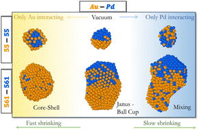 Graphical abstract: Coalescence of AuPd nanoalloys in implicit environments