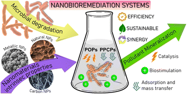 Graphical abstract: Nanobiotechnology approaches for the remediation of persistent and emerging organic pollutants: strategies, interactions, and effectiveness