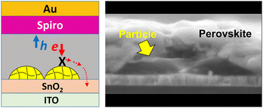 Graphical abstract: The effects of selectively blocking the electron transport layer of n-i-p perovskite solar cells with polymer particles on device performance