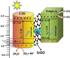 Graphical abstract: Synergistic effect of Zn-AgIn5S8/CdS Z-scheme heterojunction and S-doped rGO for efficient removal of chromium from contaminated water